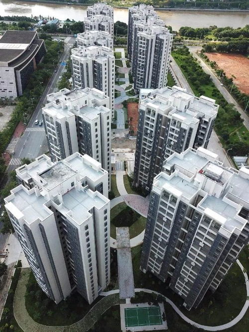 1800元觀廣州塔！商品房客廳改造公寓引熱議，年輕人直呼“慕了”